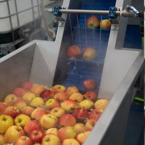 Washing apples at juicing facility in Spruce Grove